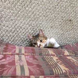 Meet your Posher, Angela